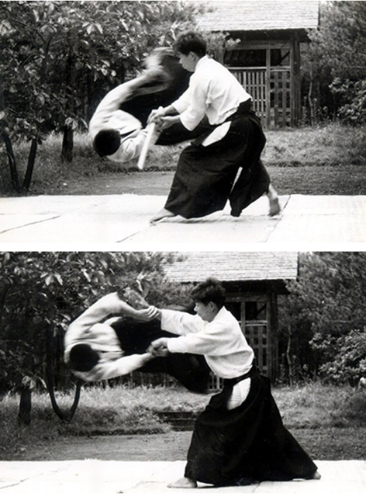 Riay - Hệ thống Aikido kết hợp