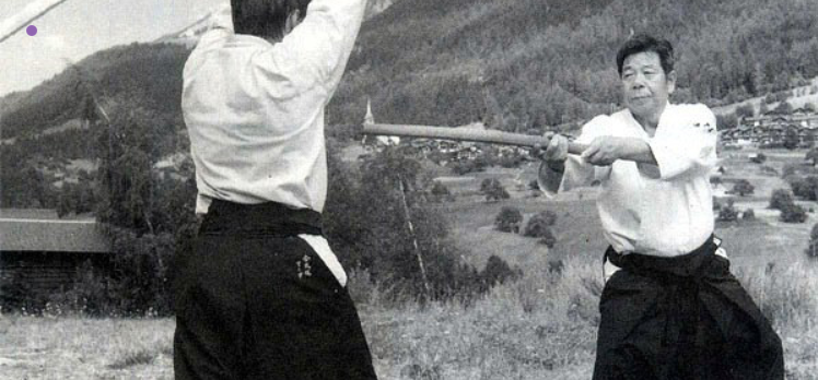 Riay - Hệ thống Aikido kết hợp