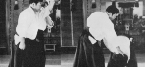 Kaiten Nage